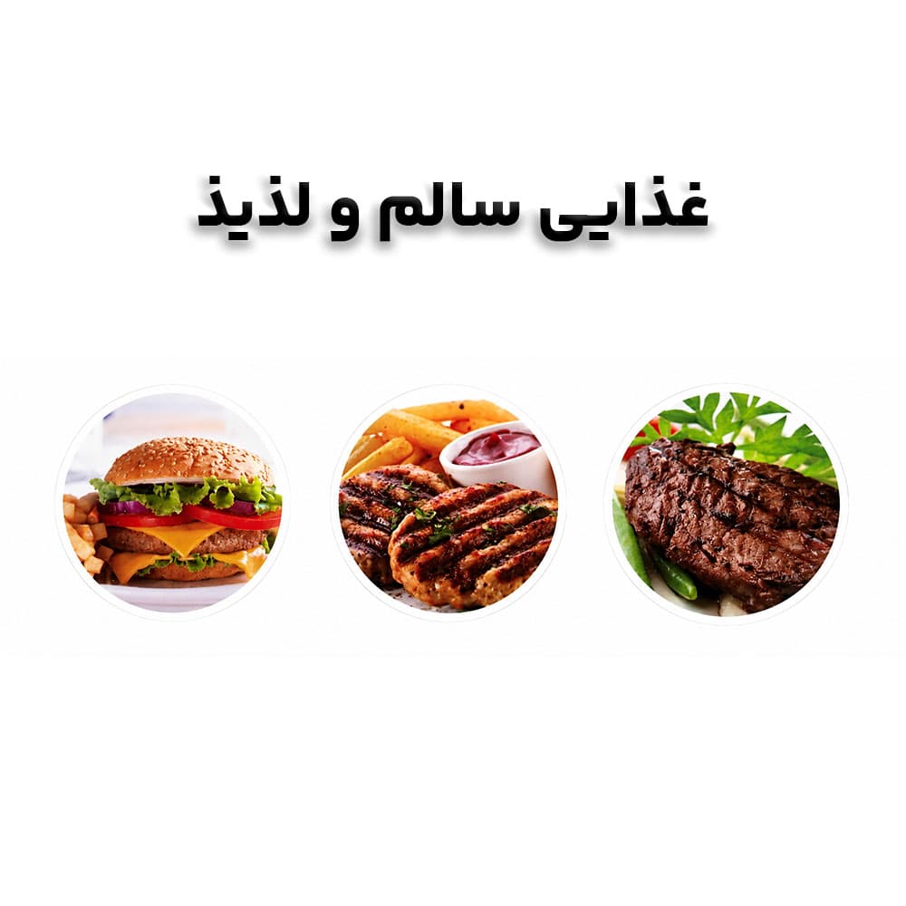 باربیکیو برقی بزرگ راف مدل R.5313 — تصویر ۶