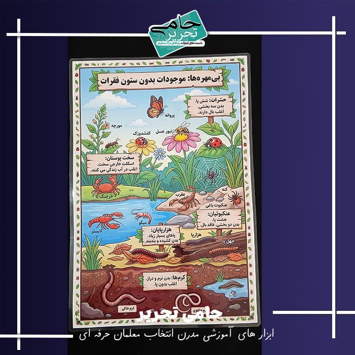 اینفوگرافی بی مهره ها جنوران بدون ستون و مهره