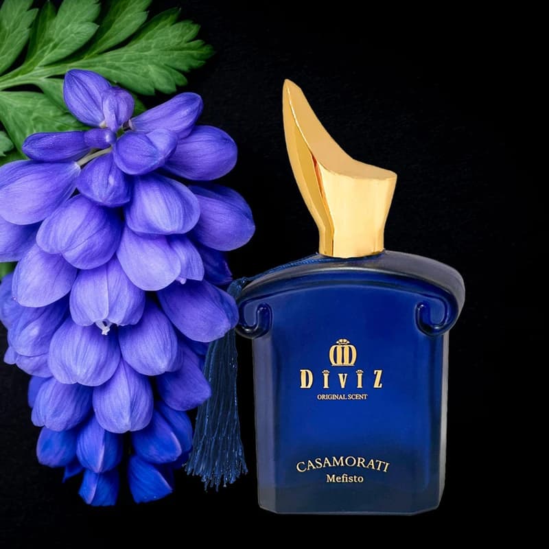 ادوپرفیوم دیوایز مدل Xerjoff Casamorati Mefisto با رایحه گرم حجم 100 میلیلیتر — تصویر ۴