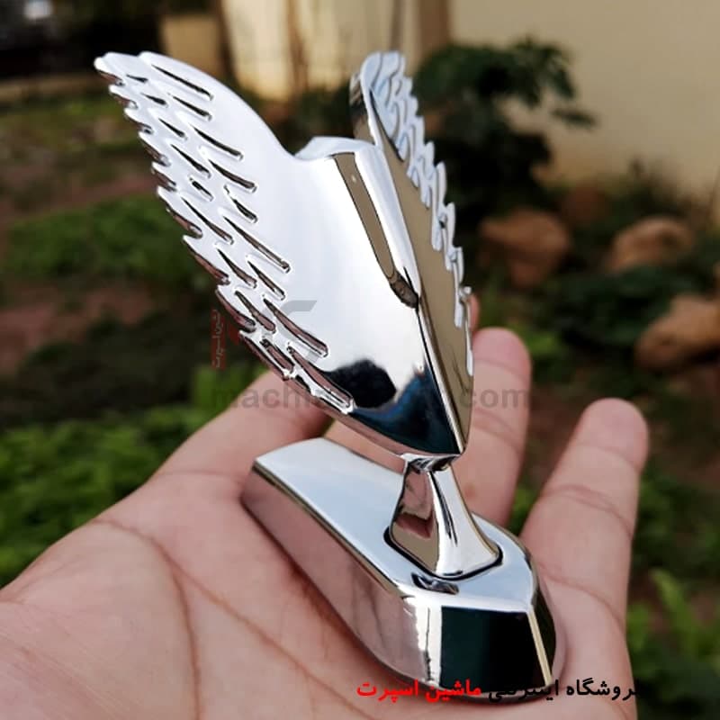 آرم ایستاده بال فرشته روی کاپوت — تصویر ۳