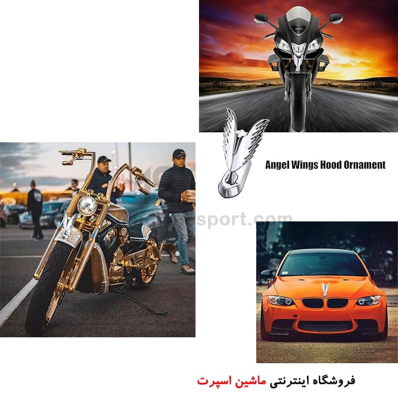 آرم ایستاده بال فرشته روی کاپوت — تصویر ۲