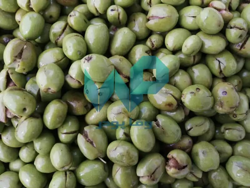 زیتون شکسته(شور) — تصویر ۴