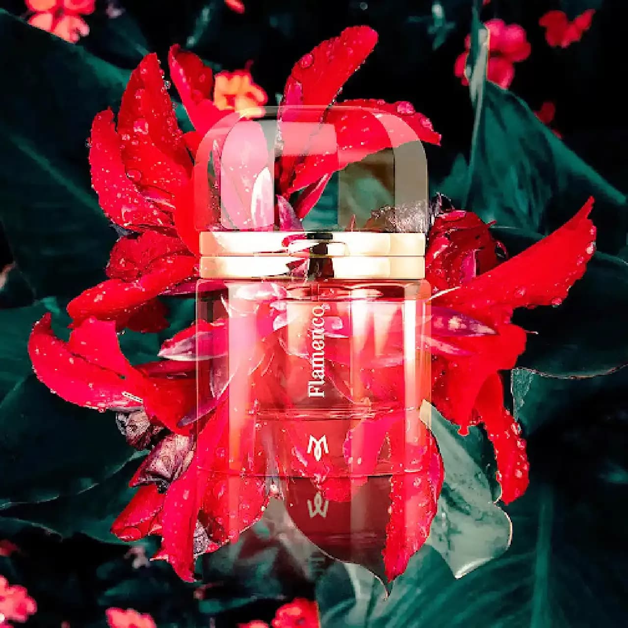 رامون مونگال فلامنکو | Ramon Monegal Flamenco — تصویر ۳