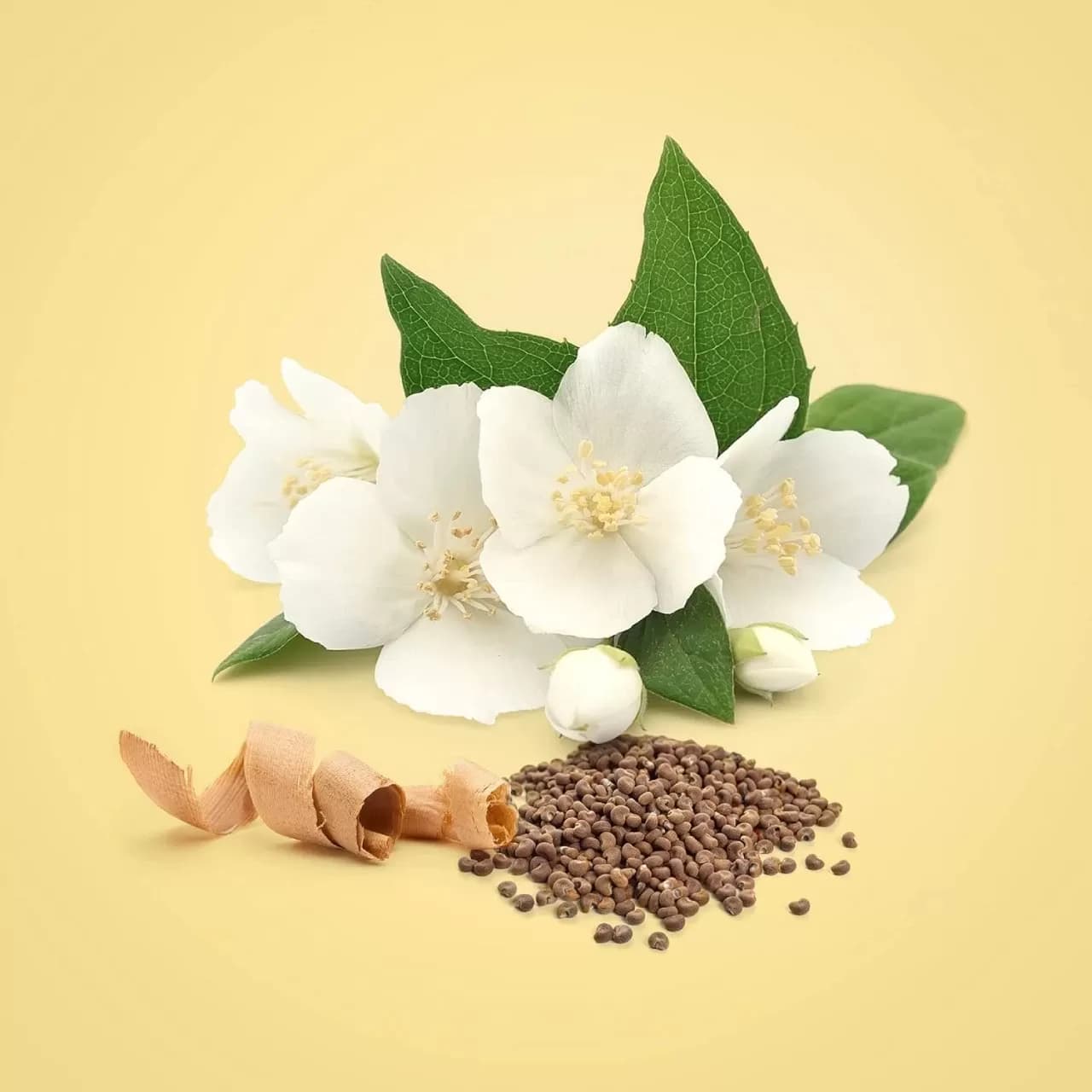 عطر سی کی بیوتی | Calvin Klein Beauty — تصویر ۳