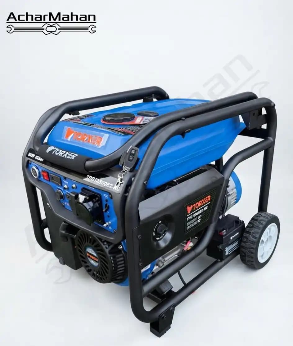 موتور برق تورکسر (Torxer) مدل TPG12500E2