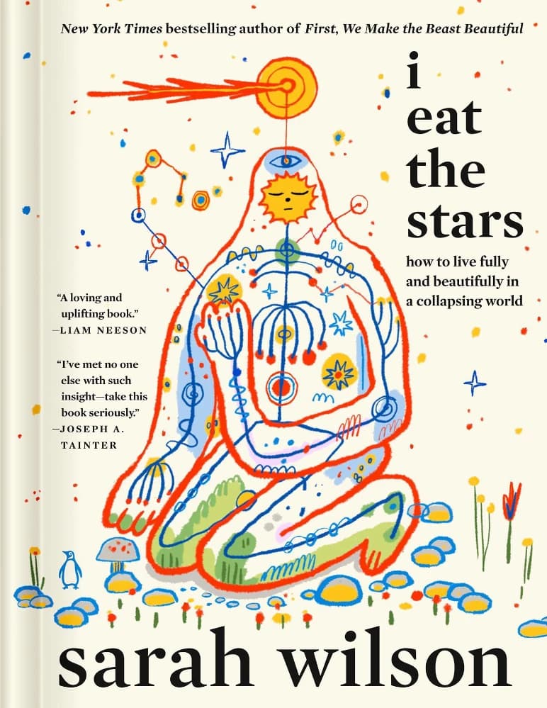 کتاب من ستاره ها را می خورم (I Eat the Stars) نسخه انگلیسی PDF | سارا ویلسون