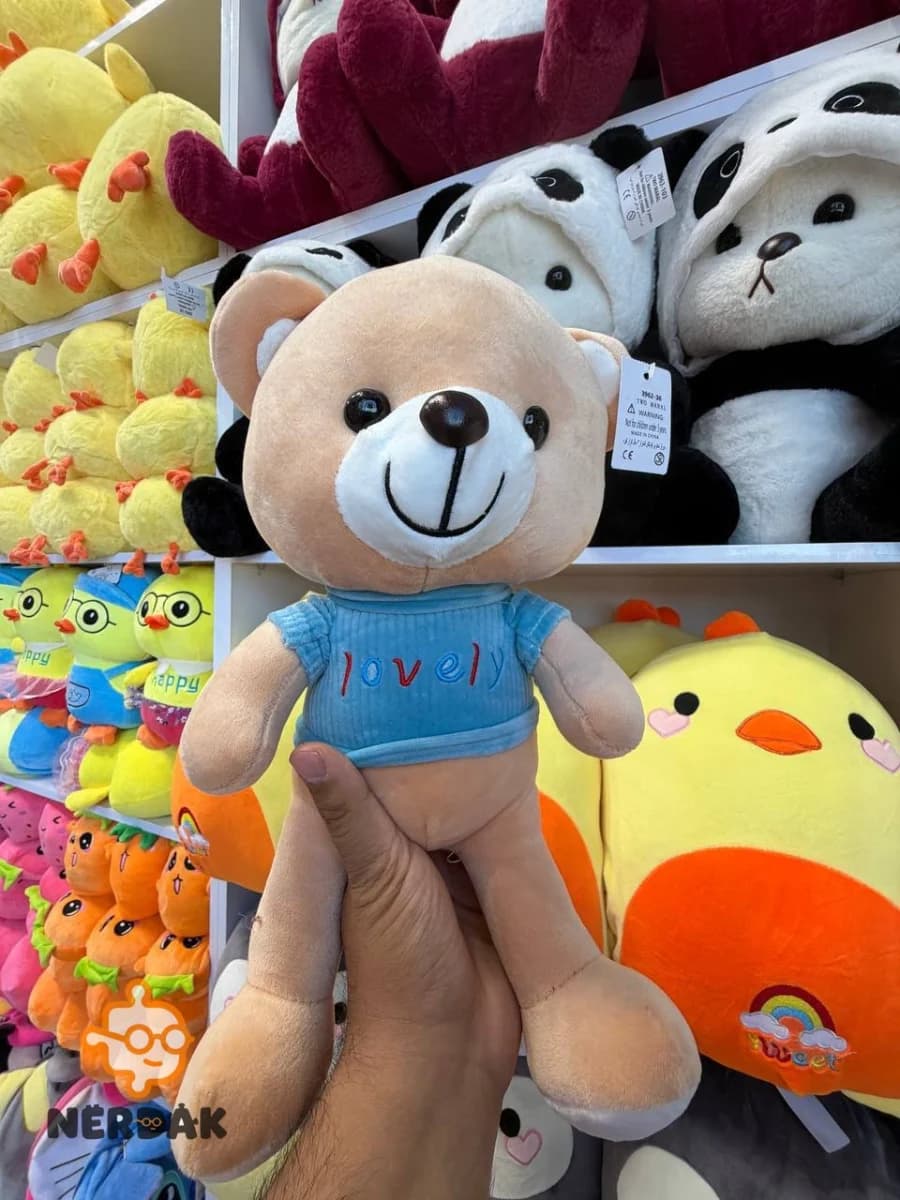 عروسک پولیشی خرس تدی خارجی ۲۵ سانتیمتری با تیشرت آبی lovely کد 12996 — تصویر ۲