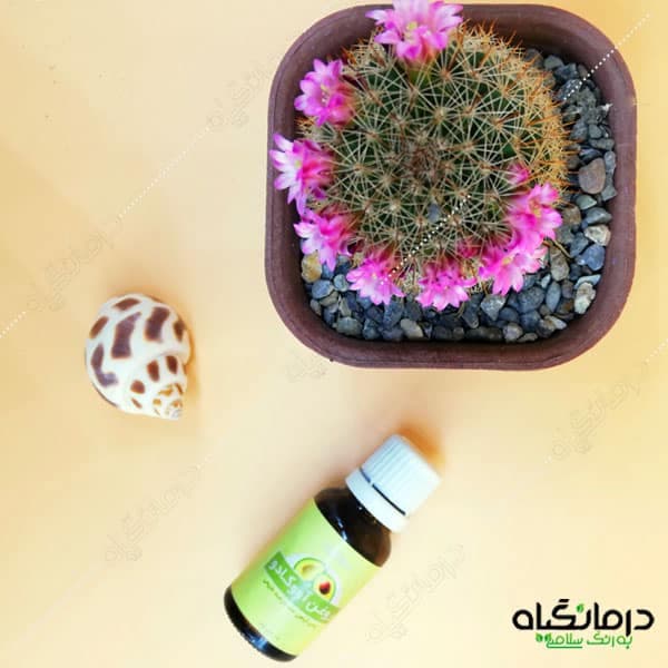 روغن آووکادو درمانگیاه — تصویر ۳