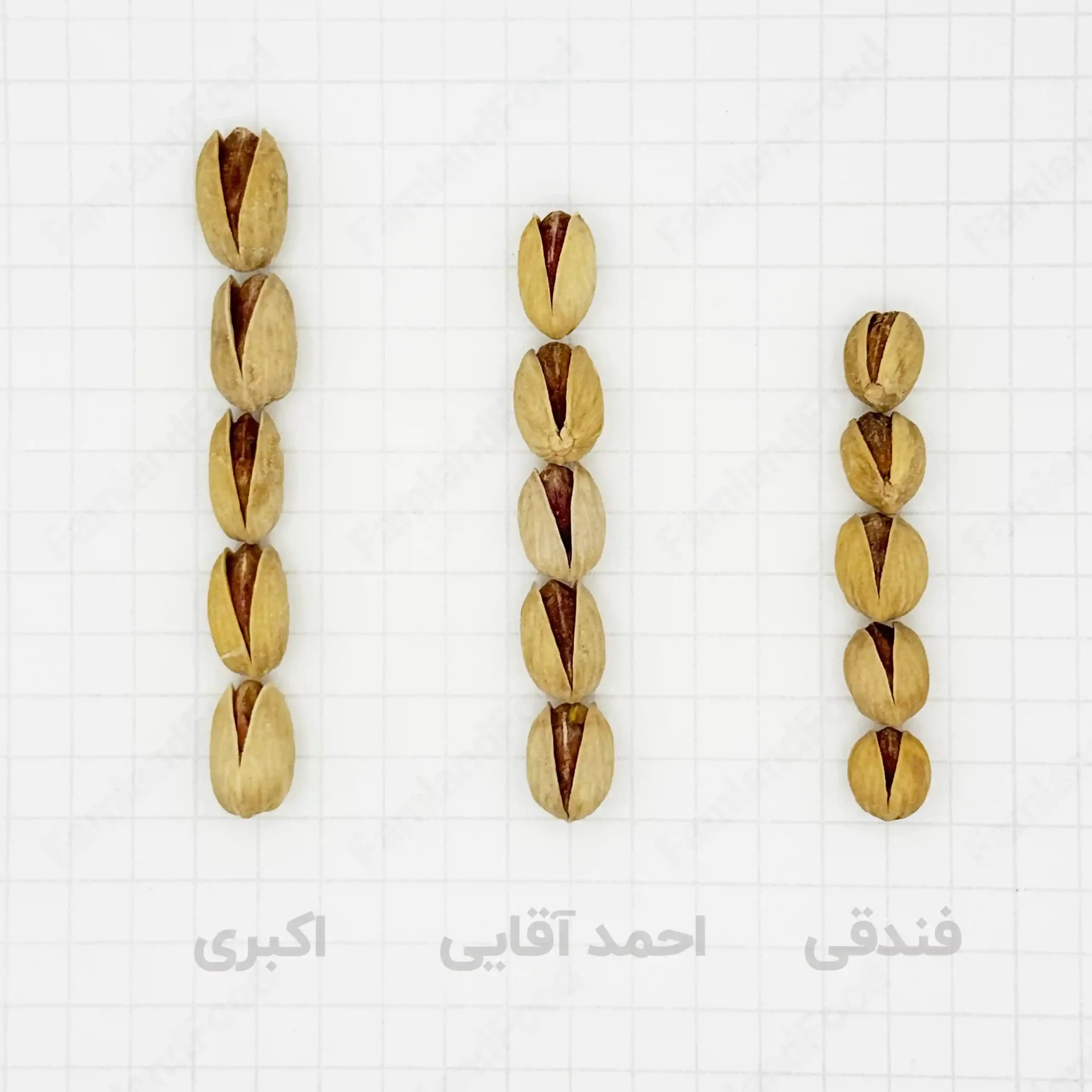 پسته فندقی برشته ممتاز — تصویر ۶