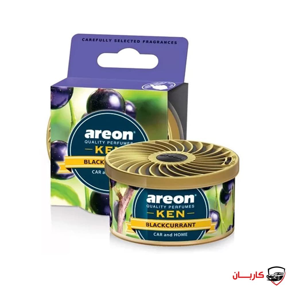خوشبوکننده خودرو آرئون کن رایحه توت وحشی – Black Currant — تصویر ۳