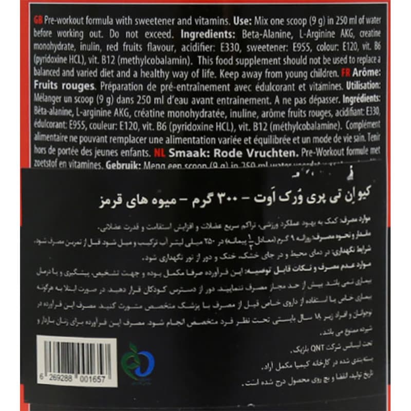 پودر پری ورک اوت پمپ آر ایکس کیو ان تی 300 گرم — تصویر ۷