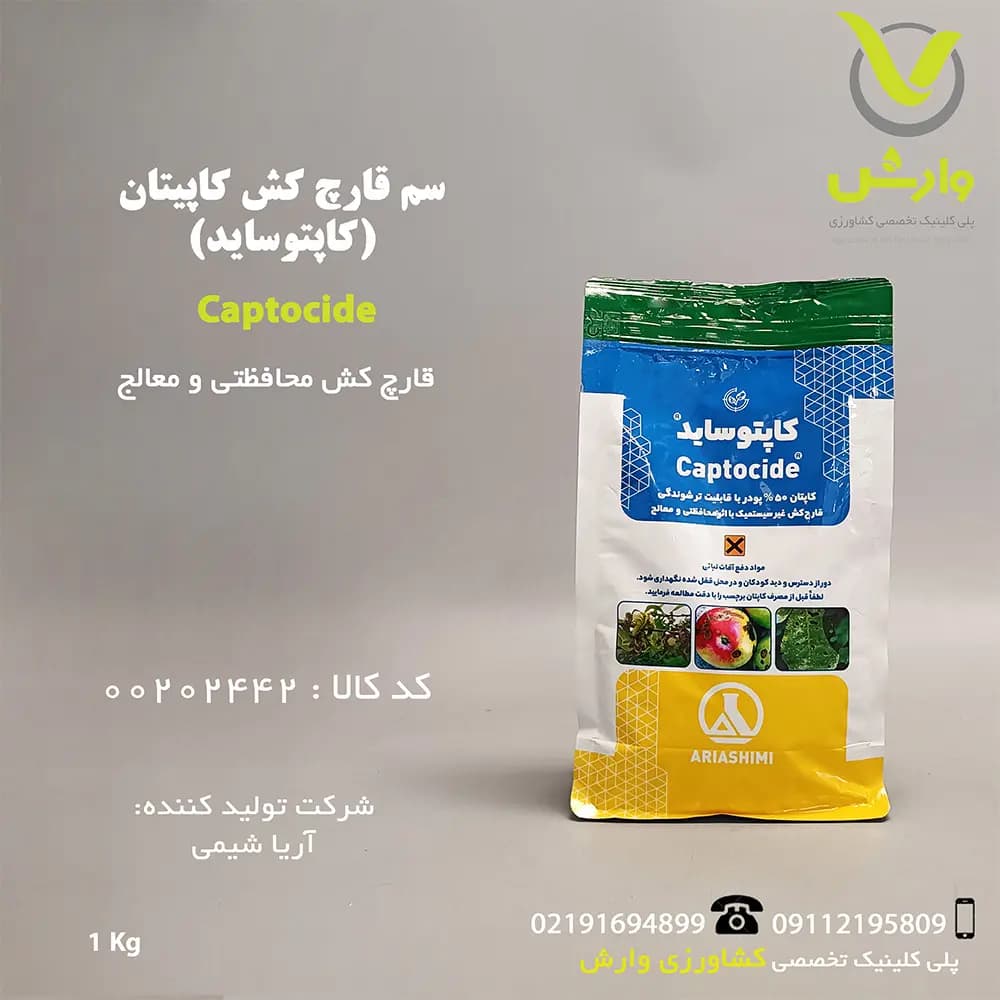 سبد حصیری بیضی آریانا مدل نبات — تصویر ۷