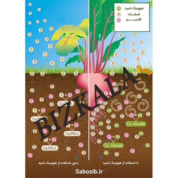 کود هیومیک اسید سبو سیب — تصویر ۳