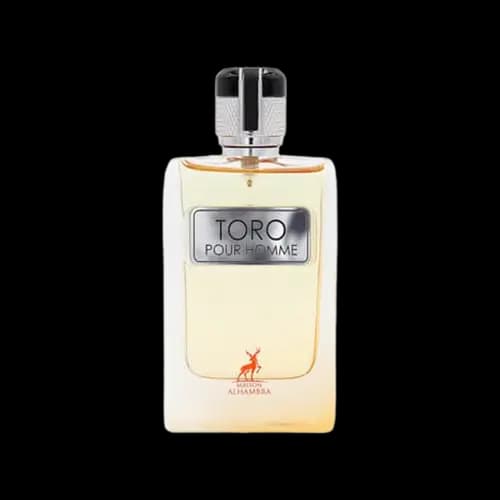 عطر و ادکلن الحمبرا تورو پور هوم (هرمس تق هرمس) ادو پرفیوم 100 میلی لیتر شرکتی | Alhambra Toro Pour Home 100ml EDP — تصویر ۲