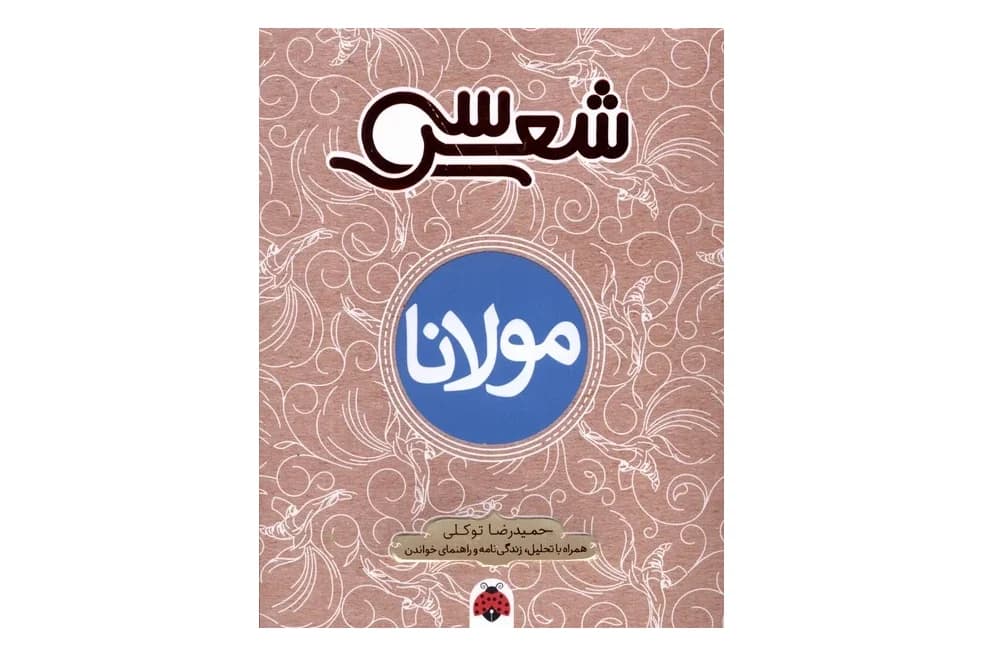 کتاب سی شعر (مولانا)