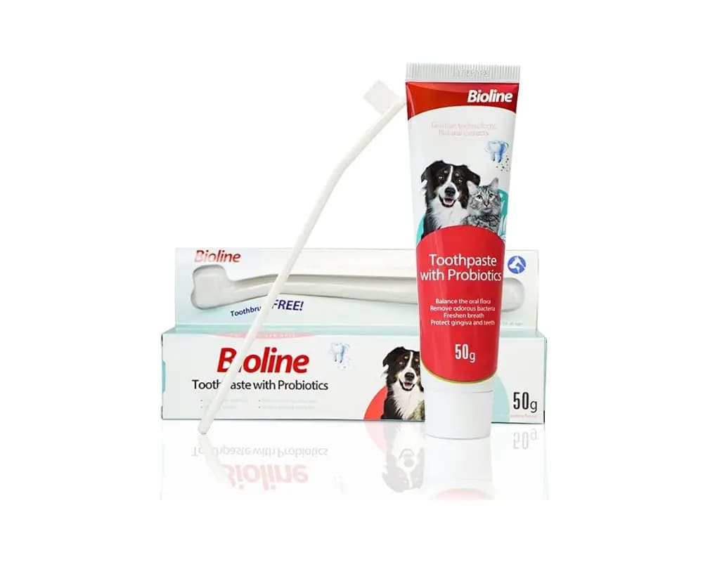 ست خمیردندان و مسواک پروبیوتیک دار سگ و گربه بایولاین Bioline toothpaste with probiotics