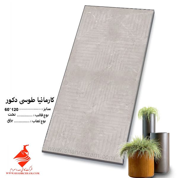 سرامیک کارمانیا طوسی دکور 120*60 صدرا سرام