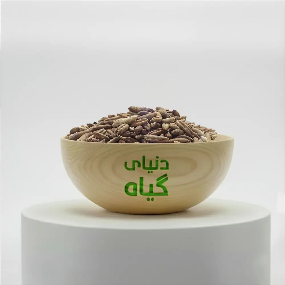 هسته خرما — تصویر ۲