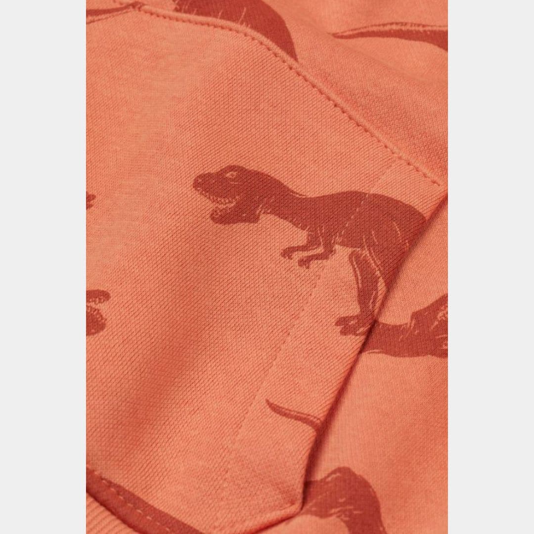 هودی توکرکی بچگانه پسرانه اچ اند ام H&M | کد 4031/00033 — تصویر ۲