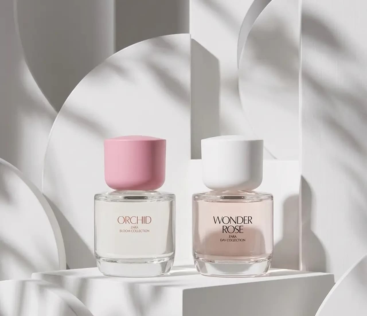 عطر زنانه ارکید و واندر رز زارا بسته بندی دو عددی 50 میلیلیتر