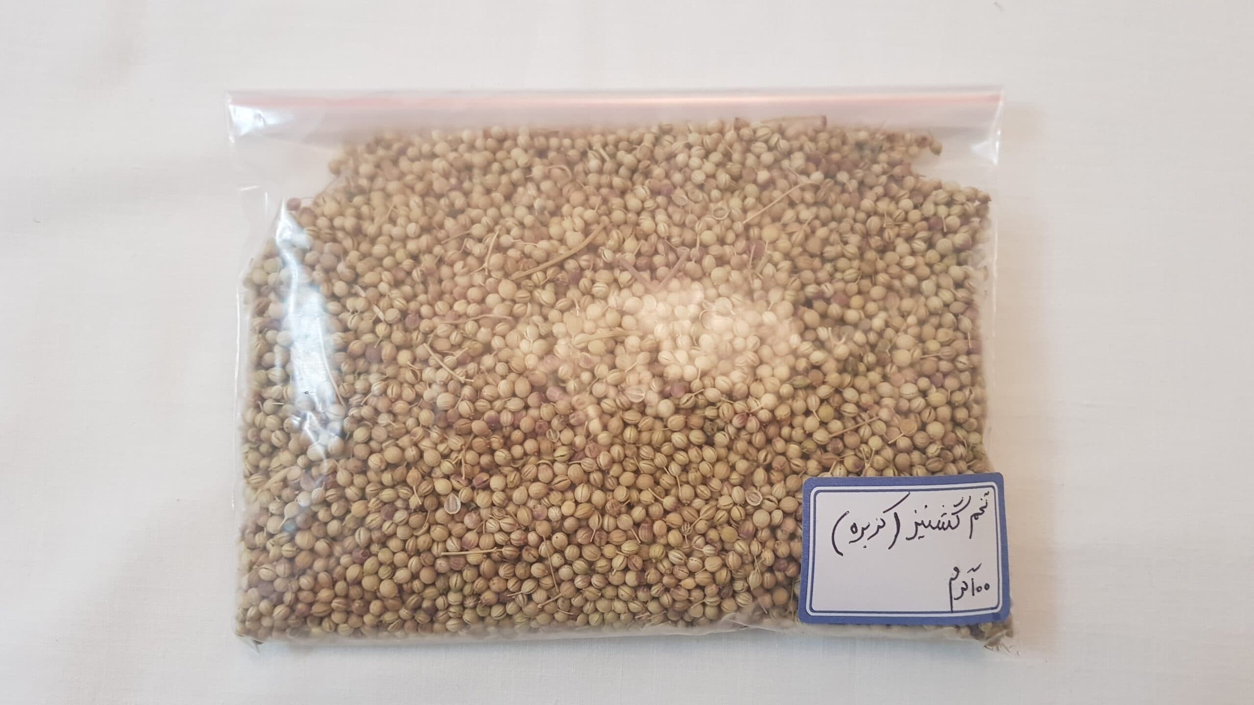 تخم گشنیز (کزبره) - غریب شاپ — تصویر ۳
