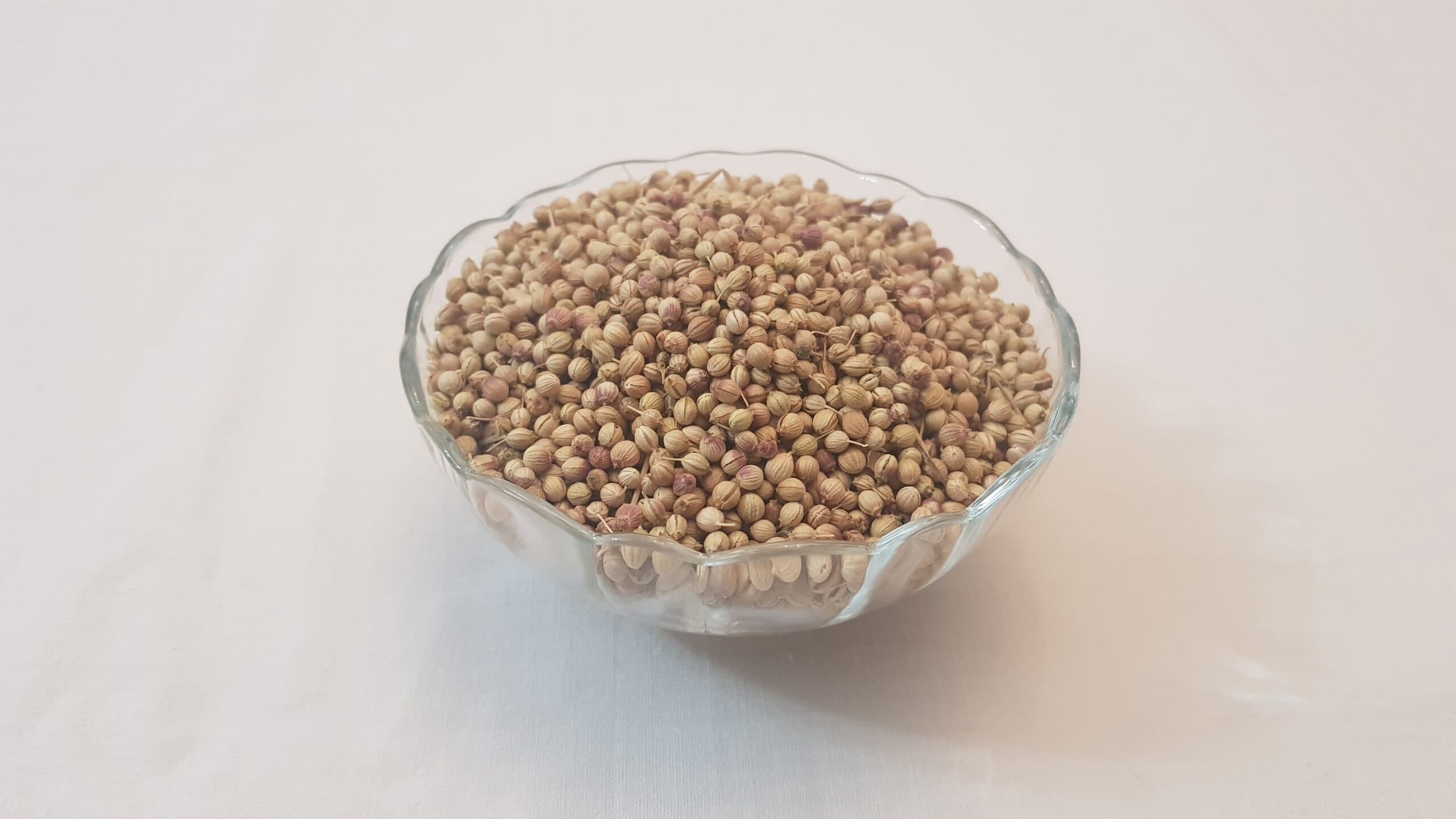 تخم گشنیز (کزبره) - غریب شاپ — تصویر ۲