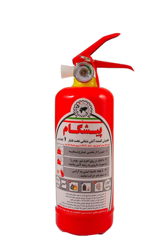 کپسول پودر و گاز 1 کیلویی خودرویی پیشگام