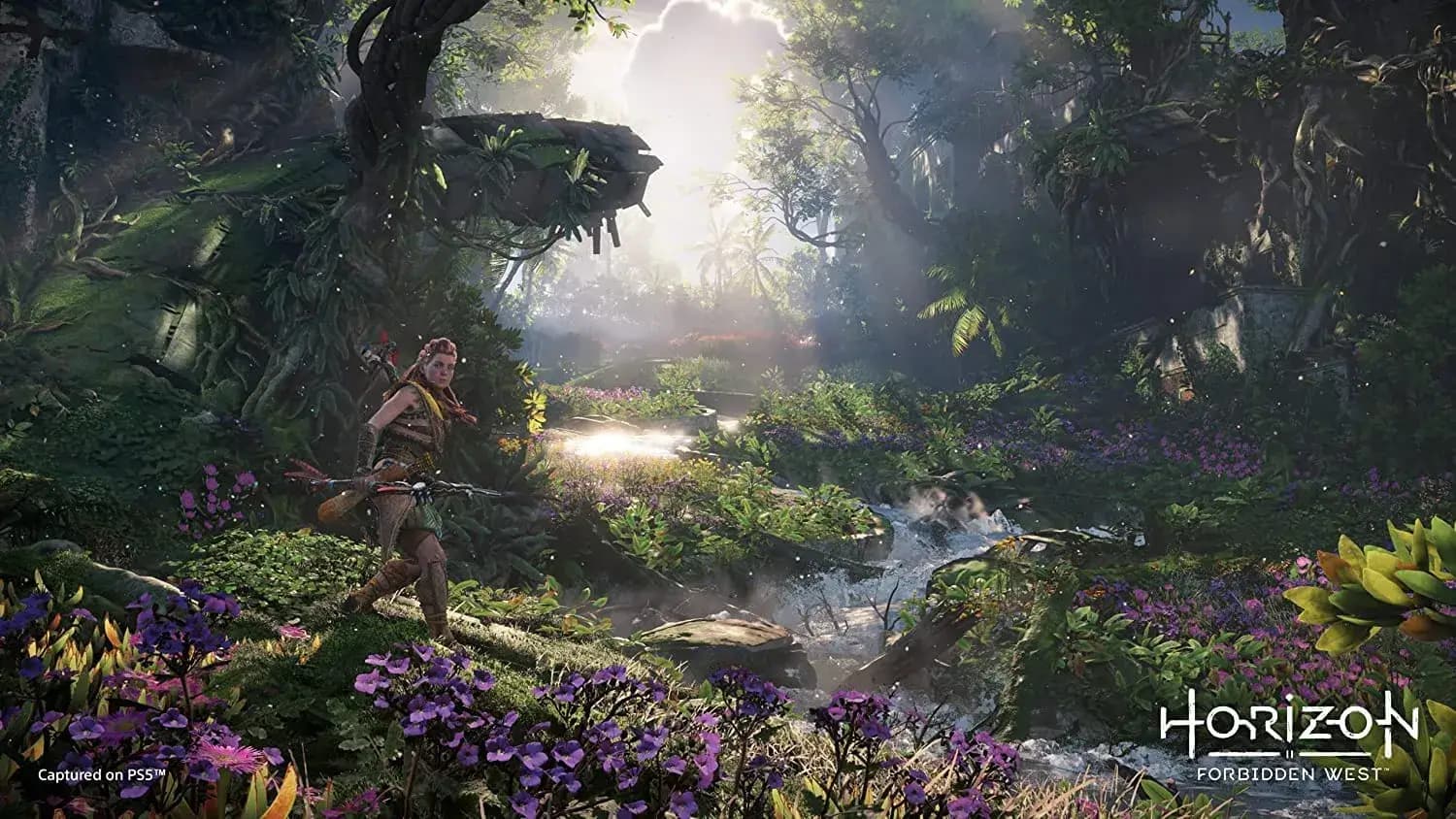 دیسک بازی Horizon Forbidden West برای پلی استیشن 5 Stock — تصویر ۶