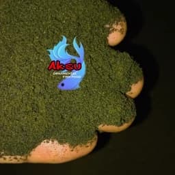 غذای ماهی بیومار 0.5 میل جلبک اسپیرولینا 25 درصد گوپی فایتر پلنت پلکو میگو و... 250 گرمی — تصویر ۲