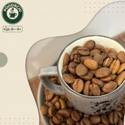 قهوه 50 روبوستا 50 عربیکا ویژه-500 گرمی — تصویر ۲