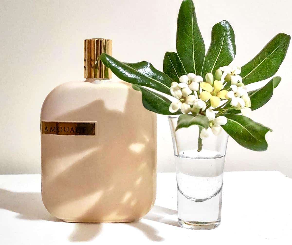 عطر ادکلن امواج اوپوس هشت اصل | Amouage Opus VIII 100 ml — تصویر ۳