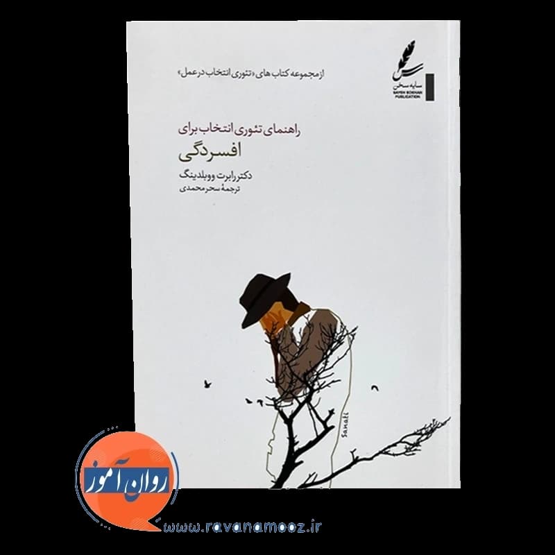 راهنمای تئوری انتخاب برای افسردگی – رابرت ووبلدینگ — تصویر ۲