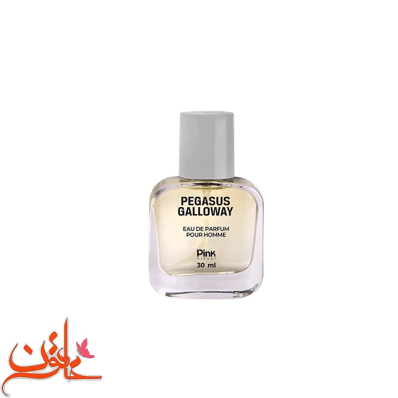 عطر جیبی مردانه پینک ویژوآل مدل Pegasus Galloway حجم 30 میلی لیتر