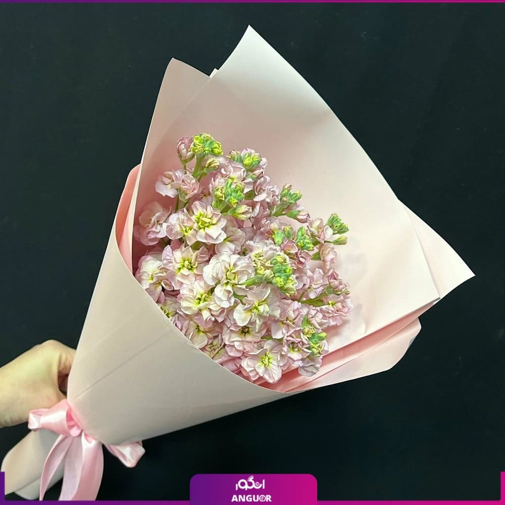 دسته گل شب بوی معطر هلویی 9 شاخه