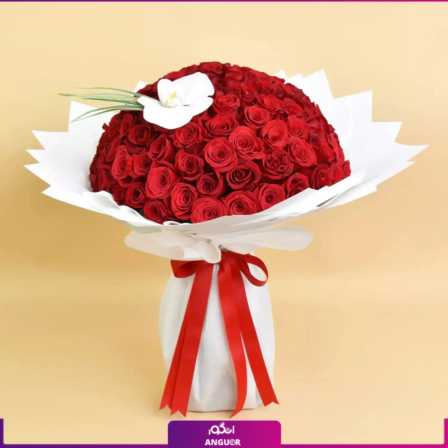 NM850 (طرح بین الملل کلاسیک)