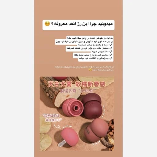 رژ لب بلوطی مخملی مات خمیری کیوت فندوقی خاص و شیک و جذاب مناسب کادو هدیه — تصویر ۲