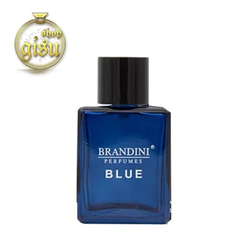 عطر جیبی مردانه بلو چنل blue channel برندینی BRANDINI – حجم 33 میل