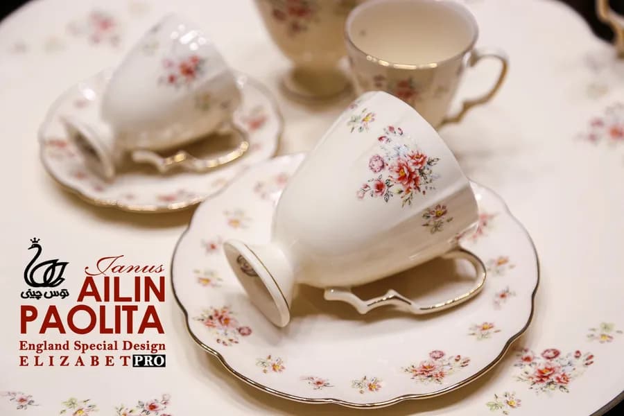 سرویس چینی الیزابت پرومکس طرح پائولیتا 6 نفره 31 پارچه توس چینی ژانوس قالب آیلین — تصویر ۲