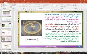 پاورپوینت درس 11 علوم تجربی پایه چهارم دبستان (ابتدایی): بی مهره ها