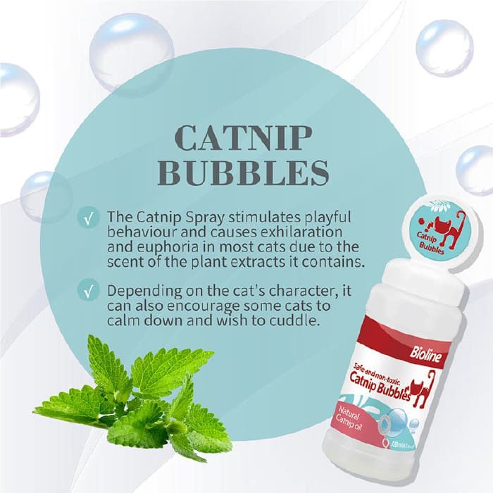 حباب ساز گربه بایولاین با رایحه کت نیپ وزن 120 میلی لیتر Bioline Catnip Bubbles — تصویر ۳