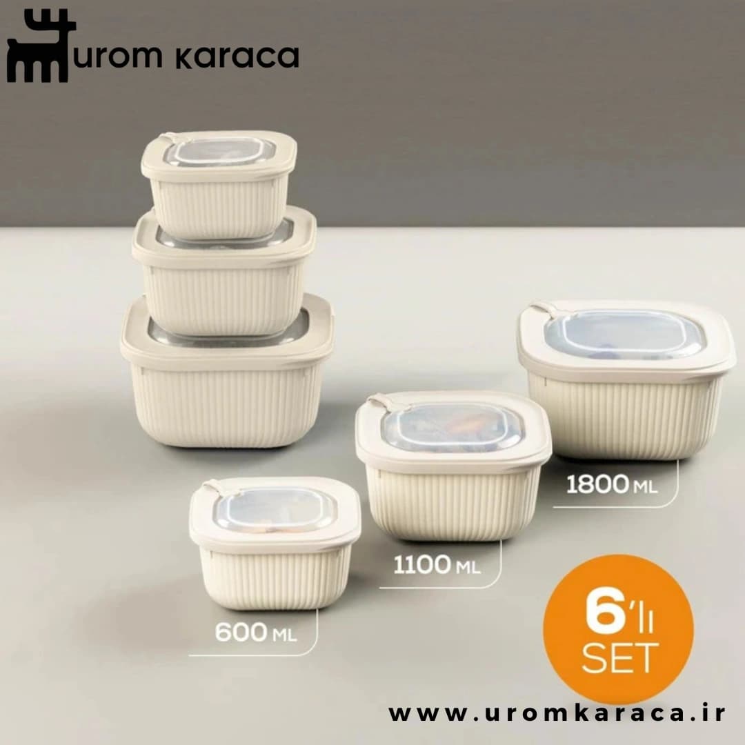 ظرف نگهدارنده 6 عددی Vienev وینف بژ