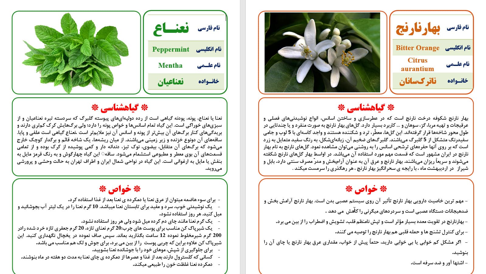 دانلود طرح جابربن حیان درباره گیاهان دارویی