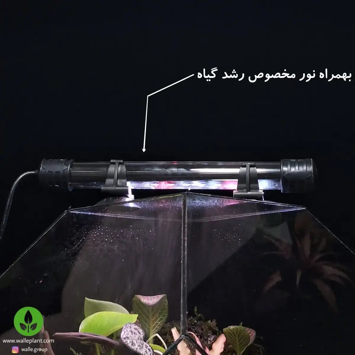 پالوداریوم ( آکواریوم ) بزرگ مدل تهران — تصویر ۳
