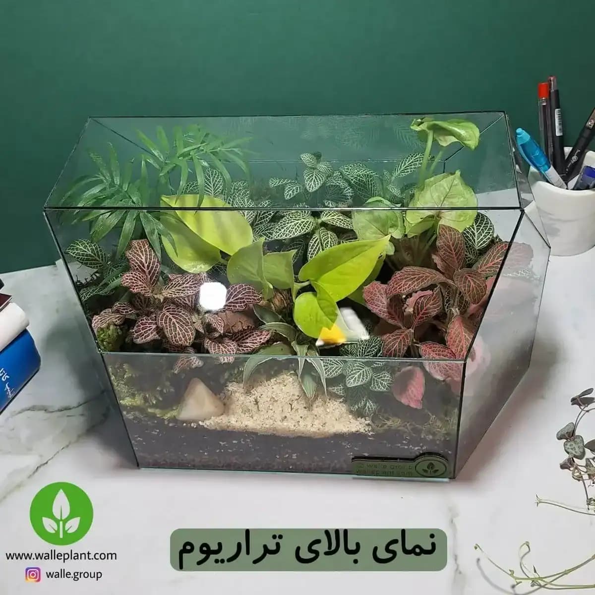 تراریوم الوند — تصویر ۴