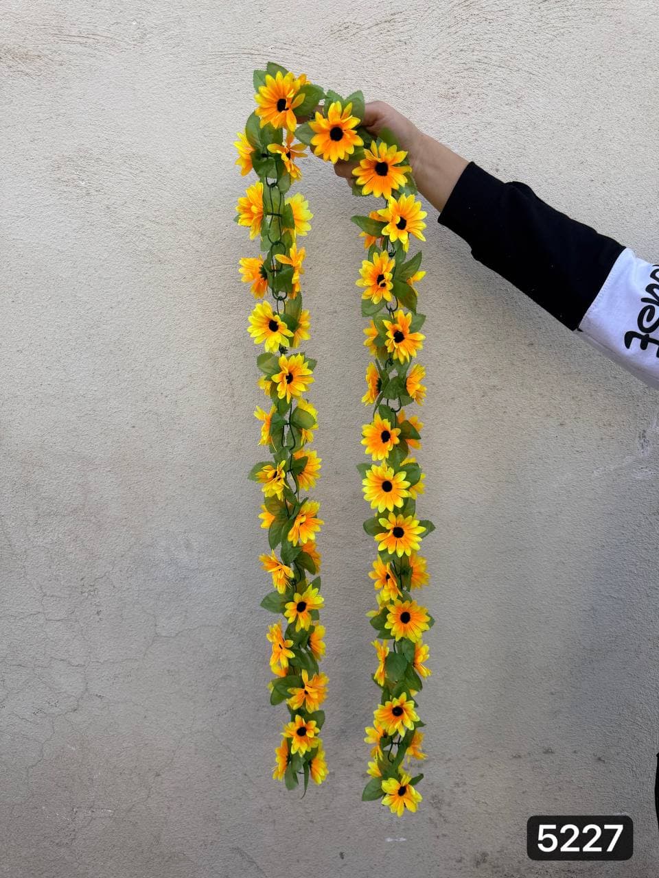 ریسه آفتابگردان زنجیره ای