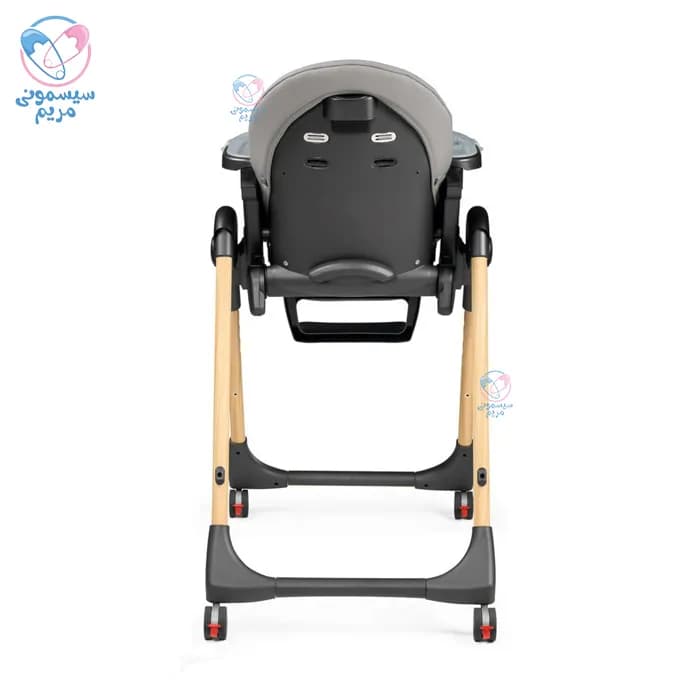 صندلی غذا پگ پرگو Peg Perego Prima Pappa Follow Me Ambiance lce — تصویر ۷
