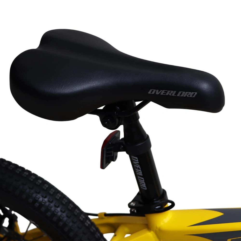 دوچرخه اورلرد سایز 20 مدل OVERLORD ETXO10-D PLUS دیسک مکانیکی 24 دنده — تصویر ۵