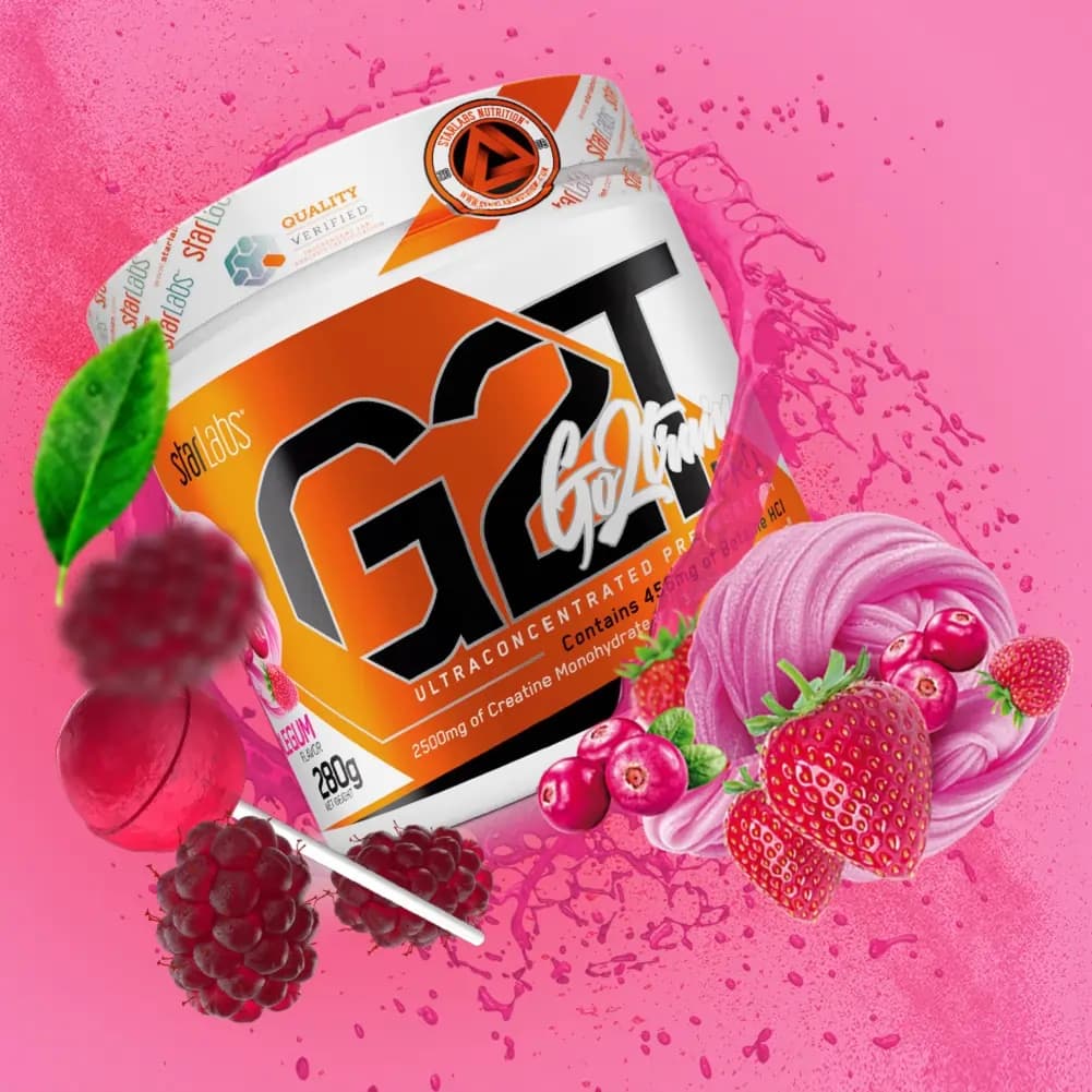 پودر پمپ ۲۸۰ گرمی گوتوترین پرو استارلبز | Go2train Pro 280g Powder — تصویر ۲