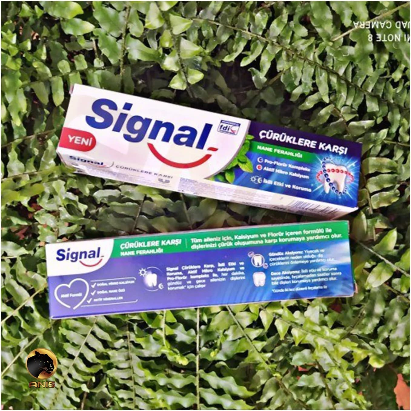 خمیر دندان سیگنال signal حجم 100 میلی — تصویر ۳