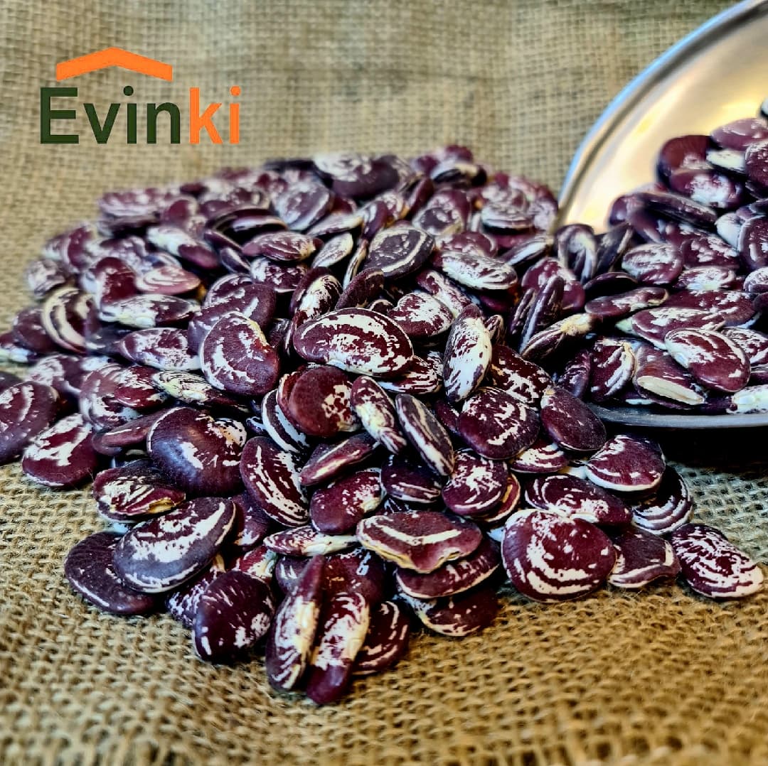 لوبیا گوشتی (لوبیا عروس) ارومیه ۱ کیلو